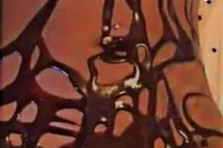 BEST HEAD IN THE MIDWEST👅💦 AVA... - Image 1